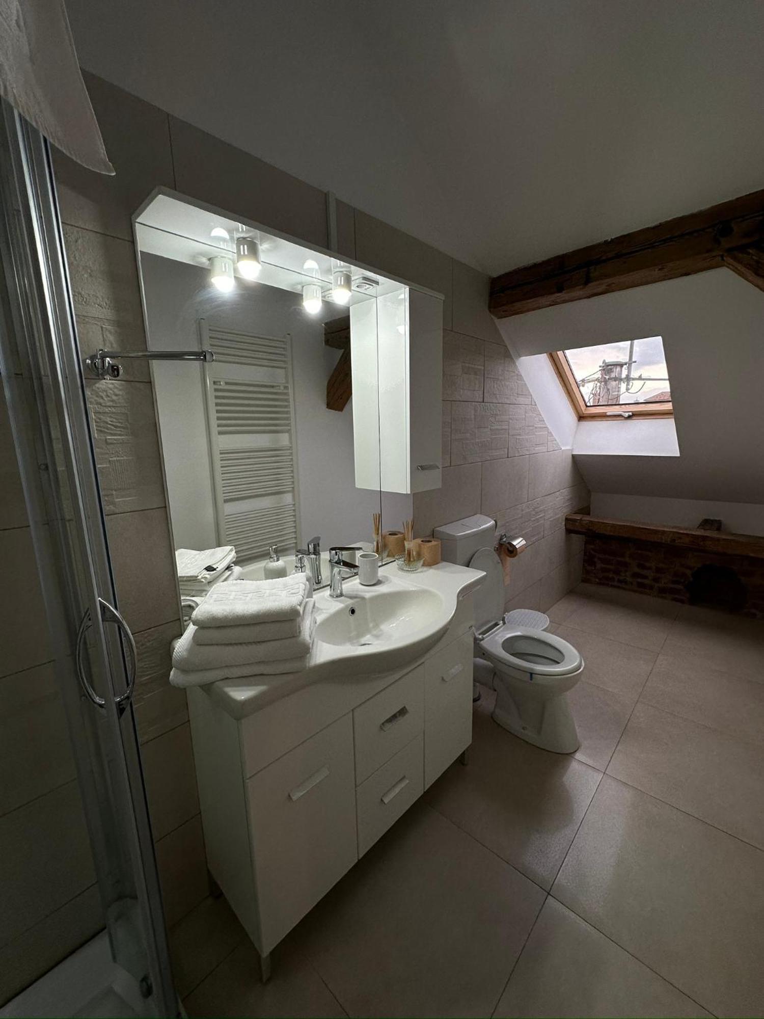 Antique ApartHotel Alba Iulia Extérieur photo
